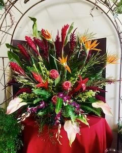 Kauia Magic Flowers