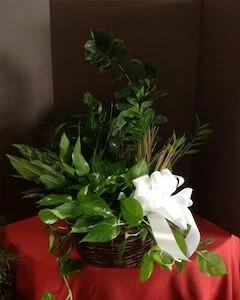 Large Dishgarden in a Basket