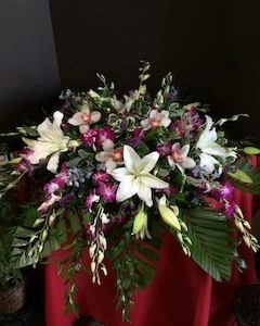 Tropical Heaven Caskeet Spray