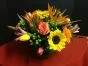 Autumn Flowers of Blooms