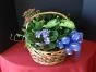 Dishgarden In A Basket