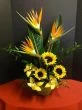 Tropical Flowers of Sunflowers and Orchids