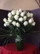 3 dozen white roses, three dozen long stems white roses

