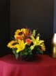 Yellow Flowers of Rustic Sunshine