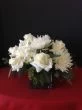 all white flowers , white roses, white spider, white hydrangea