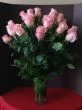 2 dozen pink roses, two dozen pink roses, long stems pink roses