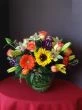 Colorful Sunshine of Flowers
