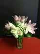 Feminine Charm Lilies