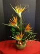 Amazing Grace Hawaiian Flowers