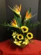Just Because Tropical Flowers