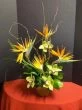 Maestro-Hawaiian Flowers