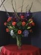 Orange and Purple Delight of Flowers