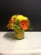 Orange Delight Flowers