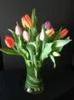 Simply Tulips