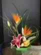 Small Paradise of Tropical Flowers