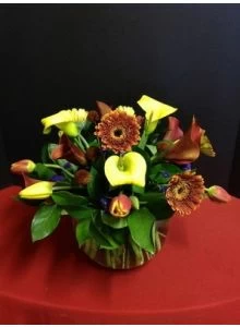 Calla lilies, Daisies and Tulips