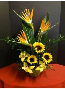 Tropical Flowers of Sunflowers and Orchids