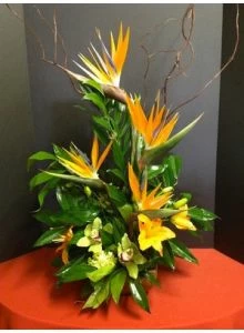 Tropical Flowers in Paradise