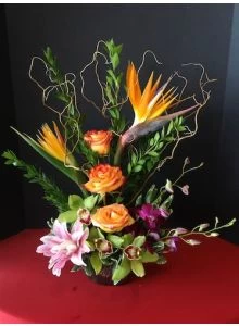 Tropical Flowers Of Flame