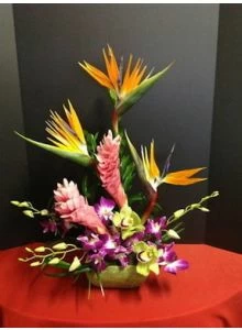 Tropical Flowers of Ginger