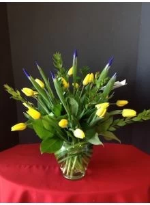 Tulips and More Tulips