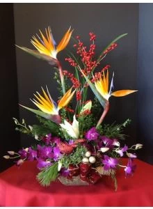Tropical Christmas