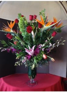 Tropical Delight of Flowers