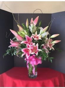 pink lilie, stargazer lilies, 1 dozen lilies
