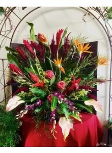 Kauia Magic Flowers