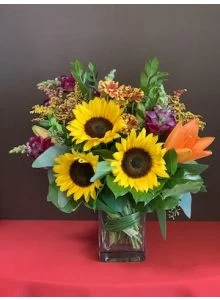 Sunshine of Fall
