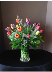 Tulips
