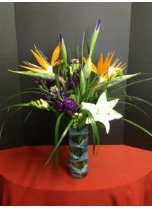 Dreamer Tropical Flowers