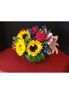 Garden of Sunshine Flowers