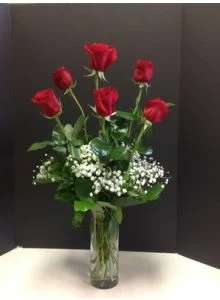 red roses, half dozen red roses,1/2 dozen red roses
