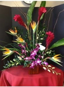 Hawaiian Flowers of Tropics