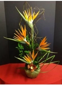 Amazing Grace Hawaiian Flowers