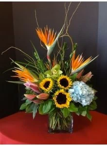 Irresistible Exotic Flowers