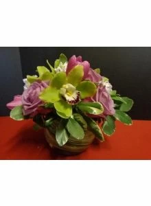 A Touch of Rain With Orchids