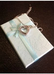 Silver Color Jewelry Necklace