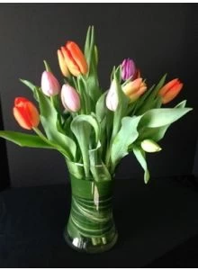 Simply Tulips
