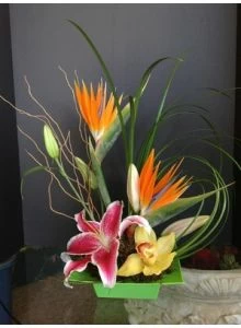 Small Paradise of Tropical Flowers