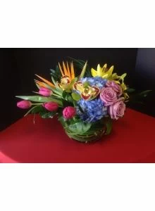 Spring Magic of Flowers