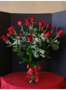18 long stems rose, long stems red roses
with baby breath