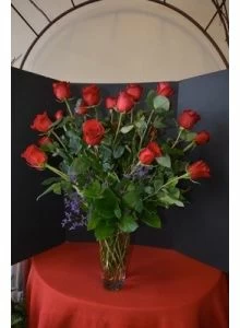 red roses, 2 dozen long stems red roses,