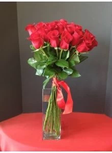 Long stems red roses, 2 dozen red roses