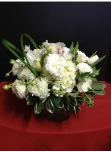 White Treasure of Flowers