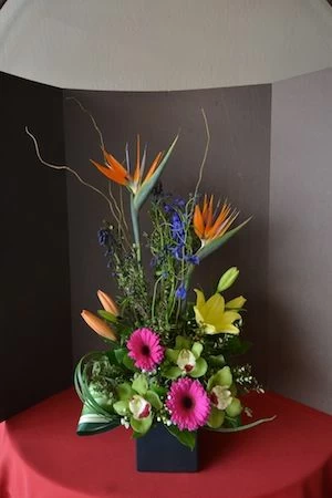 Tropical Art of Flowers