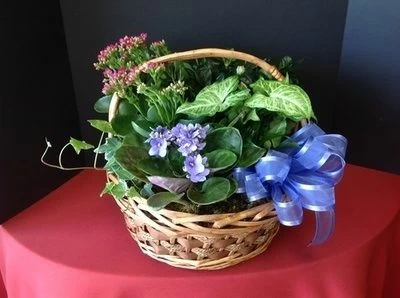 Dishgarden In A Basket