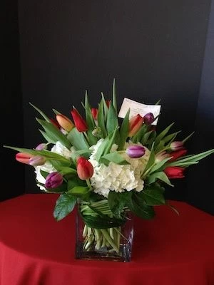Tulips with Hydrangea