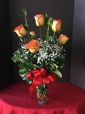 Circus Roses 1/2 dozen